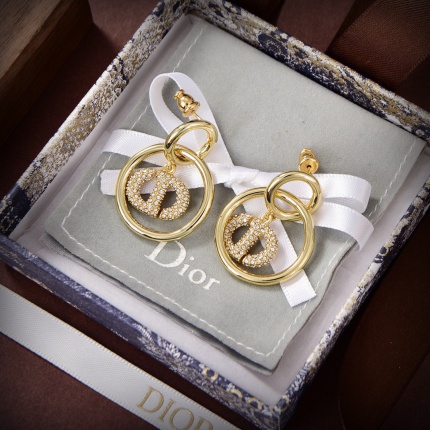 New Arrivals Good quality Dior Earrings in 173567