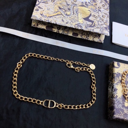Dior Necklace in 173757