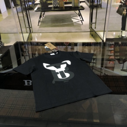 Burberry T-shirts for Men in 177379