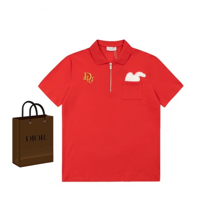 Dior Polo T -Shirts for Men in 177508