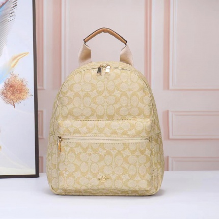 Coach Backpack in 179148