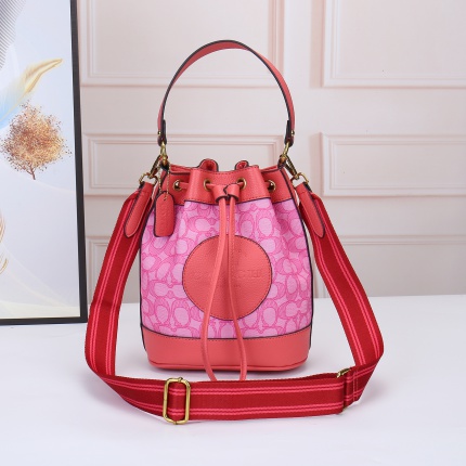 Coach Handbags in 179161