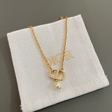 Dior Necklace in 173759