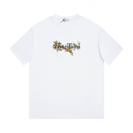 Dior T-shirts for Men in 180077