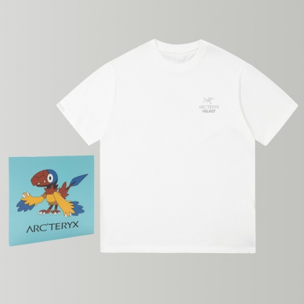 ARC TERYX T-shirts for Men in 180147