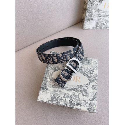 Dior AAA quality Belts in 181627