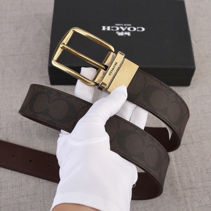 Coach Belts in 182351
