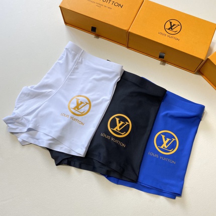Louis Vuitton Underwear in 183108