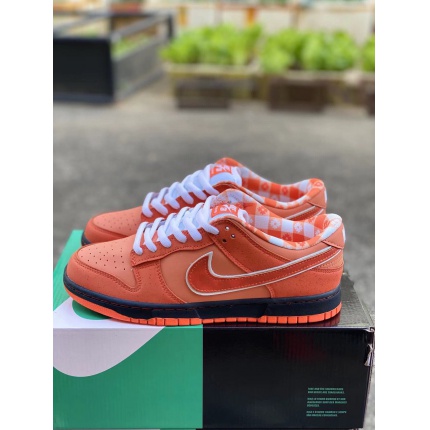 Nike Dunk SB Low Sneakers size 35-45 in 184105