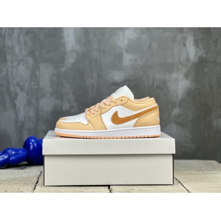 Jordan 1 Shoes for Men in 184546