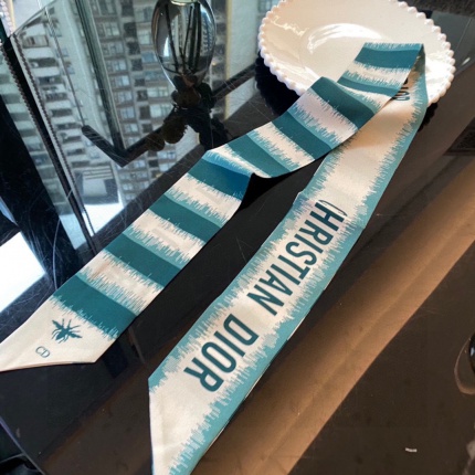 DIOR Bands in 185621