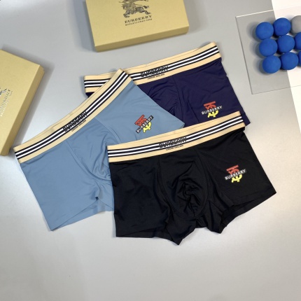 Burberry Underwear in 185818