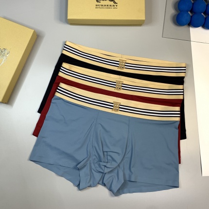 Burberry Underwear in 185819