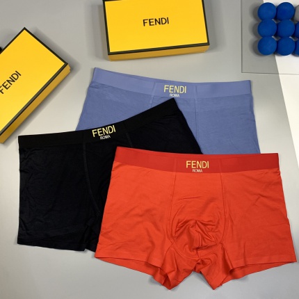 Fendi Underwear in 185821