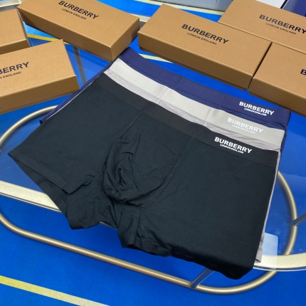 Burberry Underwear in 185847