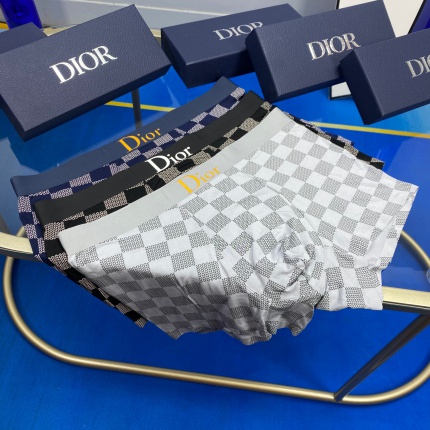 Dior Underwear in 185848