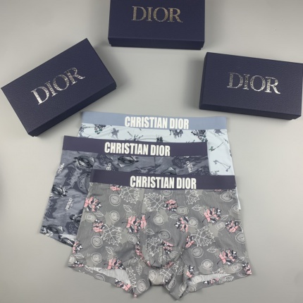 Dior Underwear in 185849
