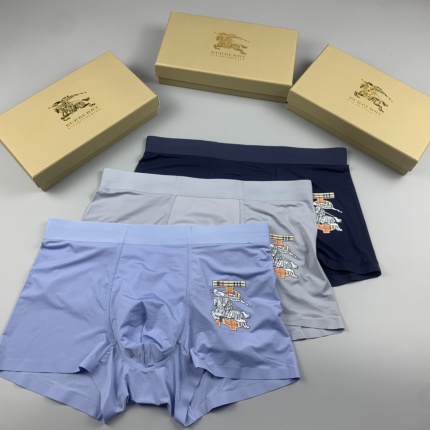 Burberry Underwear in 185857