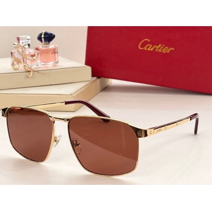 Cartier Glasses in 187551