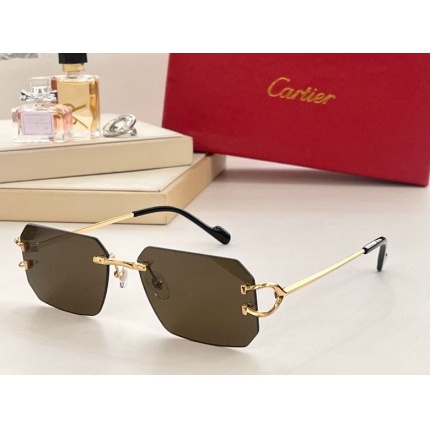 Cartier Glasses in 187560