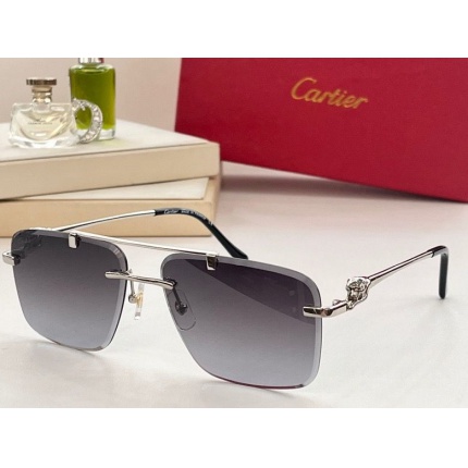 Cartier Glasses in 187570