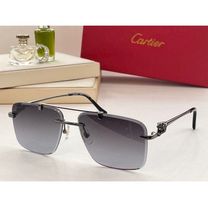 Cartier Glasses in 187571