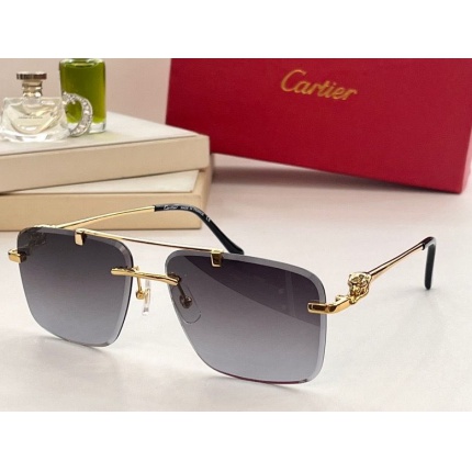 Cartier Glasses in 187572