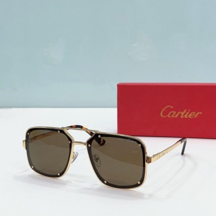 Cartier Glasses in 187600