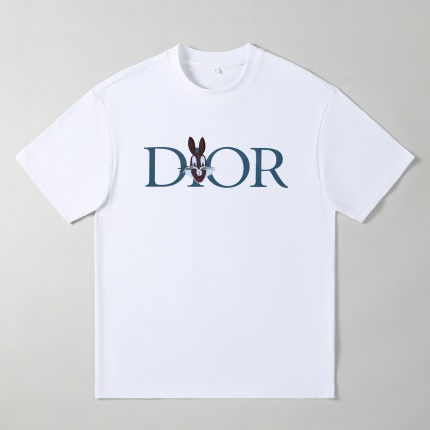 Dior T-shirts for Men in 188103