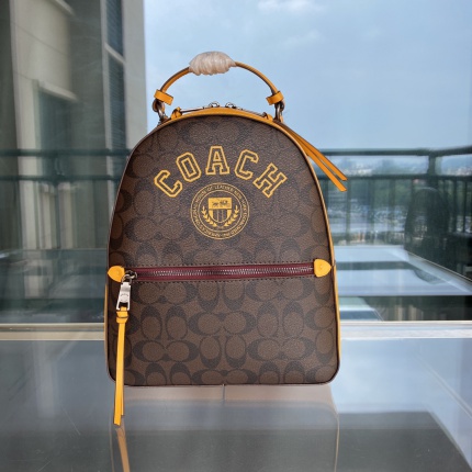 Coach AAA Backpack Bags in 189983