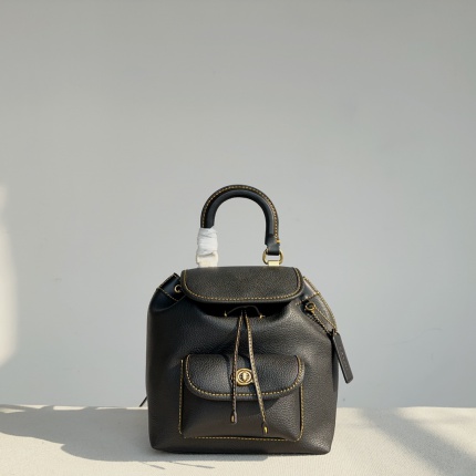 Coach AAA Backpack Bags in 189989