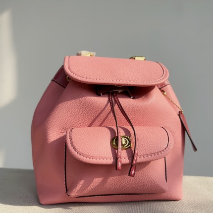 Coach AAA Backpack Bags in 189990