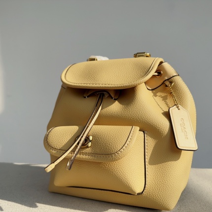 Coach AAA Backpack Bags in 189991