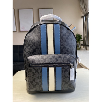 Coach AAA Backpack Bags in 189993