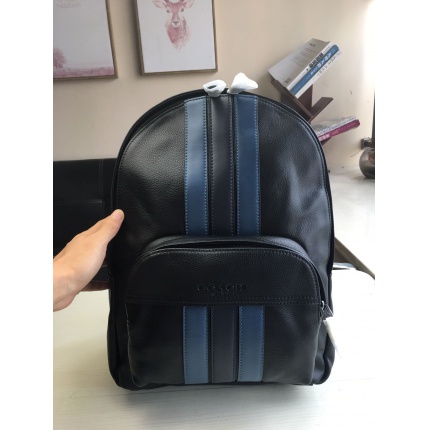 Coach AAA Backpack Bags in 189994