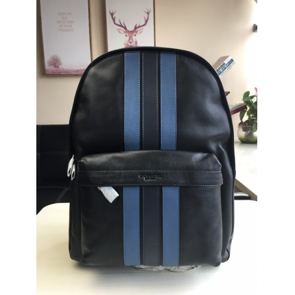 Coach AAA Backpack Bags in 189995