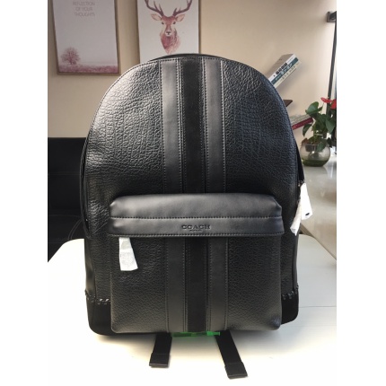 Coach AAA Backpack Bags in 189998