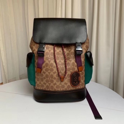 Coach AAA Backpack Bags in 190001