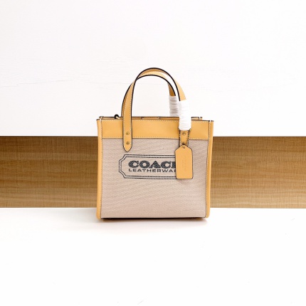 Coach AAA Backpack Bags in 190005