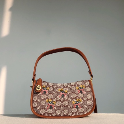 Coach AAA Backpack Bags in 190009