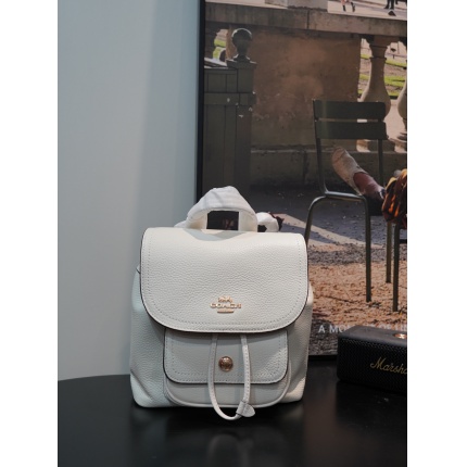 Coach AAA Backpack Bags in 190015