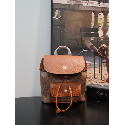 Coach AAA Backpack Bags in 190016