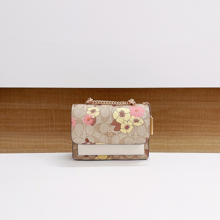 Coach AAA Backpack Bags in 190017