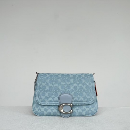 Coach AAA Backpack Bags in 190019