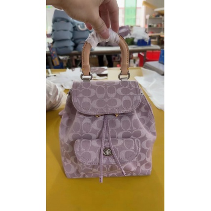 Coach AAA Backpack Bags in 190022