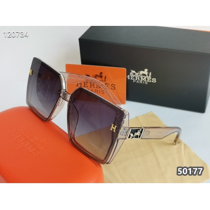 Hermes   Sunglasses in 192508