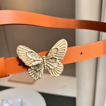 New Arrivals Dior AAA quality Belts For Women in 194598