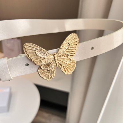 New Arrivals Dior AAA quality Belts For Women in 194600