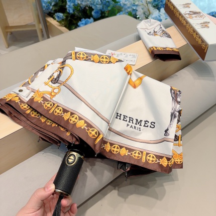 New Arrivals Hermes Umbrella in 196344
