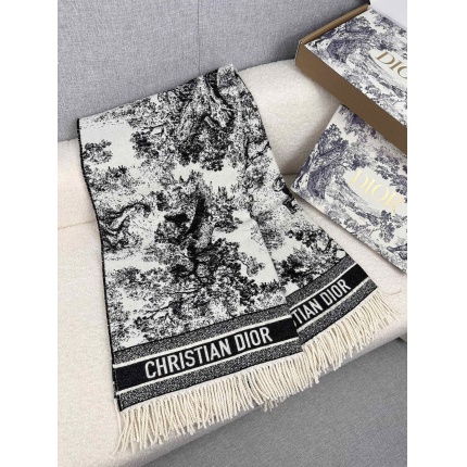 New Arrivals Dior Cashmere Scarf in 200248